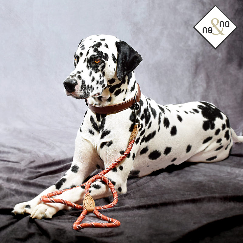 ne&no® dog leash (red/black/white) rope leash for dogs I training leash for dogs I round lead, braided I hand loop rope leash dog I city leash I 1.2m dog leash red/black/white - PawsPlanet Australia