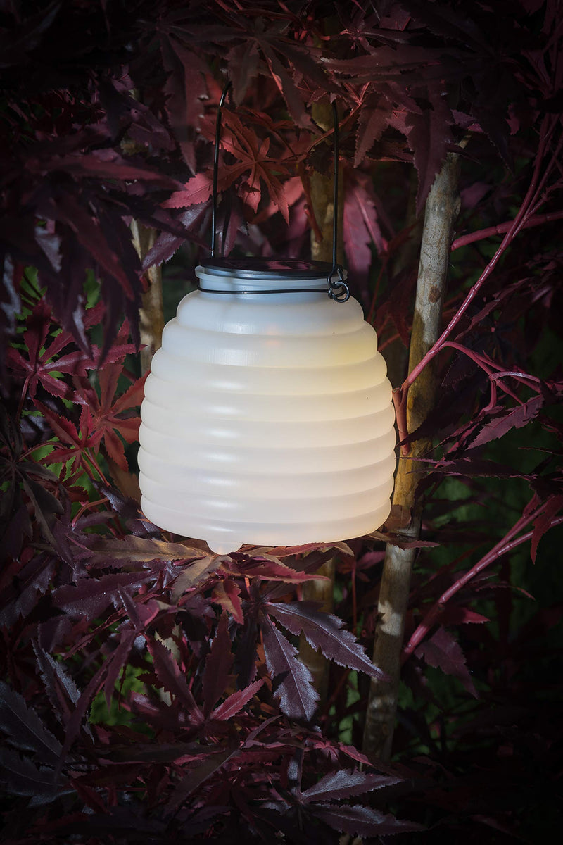 Noma Uncle Franks Wasp Catcher Light with Warm White LED, 15.5cm, One Size - PawsPlanet Australia