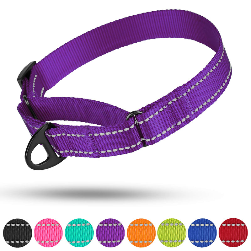 [Australia] - CollarDirect Reflective Martingale Dog Collar Nylon Heavy Duty Training Pet Collars for Small Medium Large Dogs Puppy Pink Orange Black Blue M, Neck Size 13"-18" Purple 