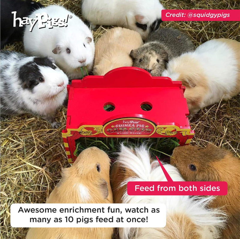 HAYPIGS Guinea Pig Toys and Accessories - Circus themed WHEEK WAGON Hay Hopper - Guinea Pig Hay Rack - Dwarf Rabbit Feeder - Hay Racks for Guinea Pigs - Hay Feeder - Chinchilla Hay Rack - PawsPlanet Australia