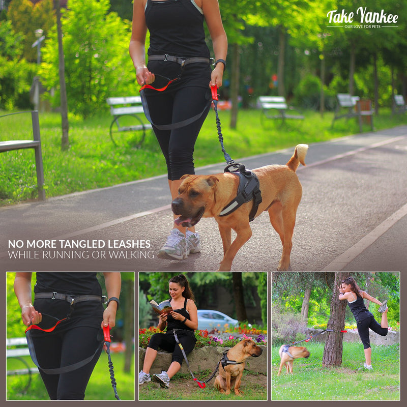 [Australia] - TAKE YANKEE Hands Free Dog Leash + Training Running Walking Leash & Double Leash Set, Fits 2 Dogs + Reflective Leash • Adjustable Waist Belt + Strong Bungee Leash + Poop Bag Holder TWO Dogs RED 