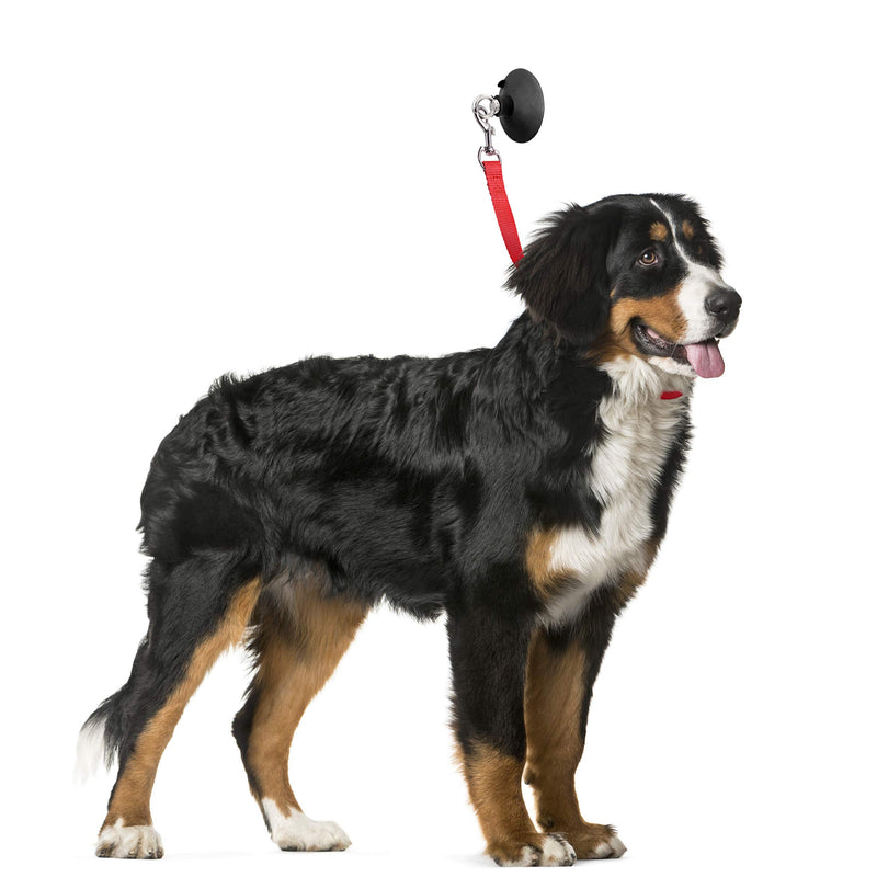 [Australia] - LAST LEASH Dog Bathing & Grooming Suction Cup - Keeps Dog in Bathtub or Shower - Any Size Dog 1 Pack 