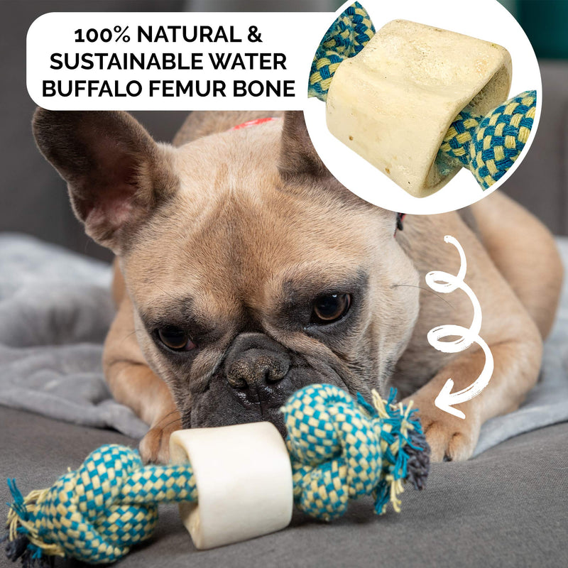 Choy All Natural Rope and Water Buffalo Bone Dog Chew and Dog Toys (Eco-Friendly Interactive Dog Toys, Dog Chew Toy, Dog Bone, Dog Rope Toy, and Dog Tug Toy in One) Three Style Options Available Small (Pack of 1) Small Rope - PawsPlanet Australia