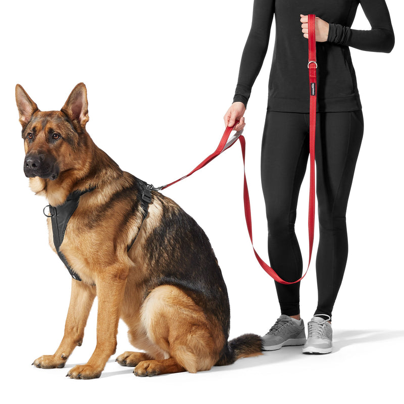 Amazon Basics Dual Handle Padded Dog Leash - 1.8 m, Black Two-Handled - PawsPlanet Australia