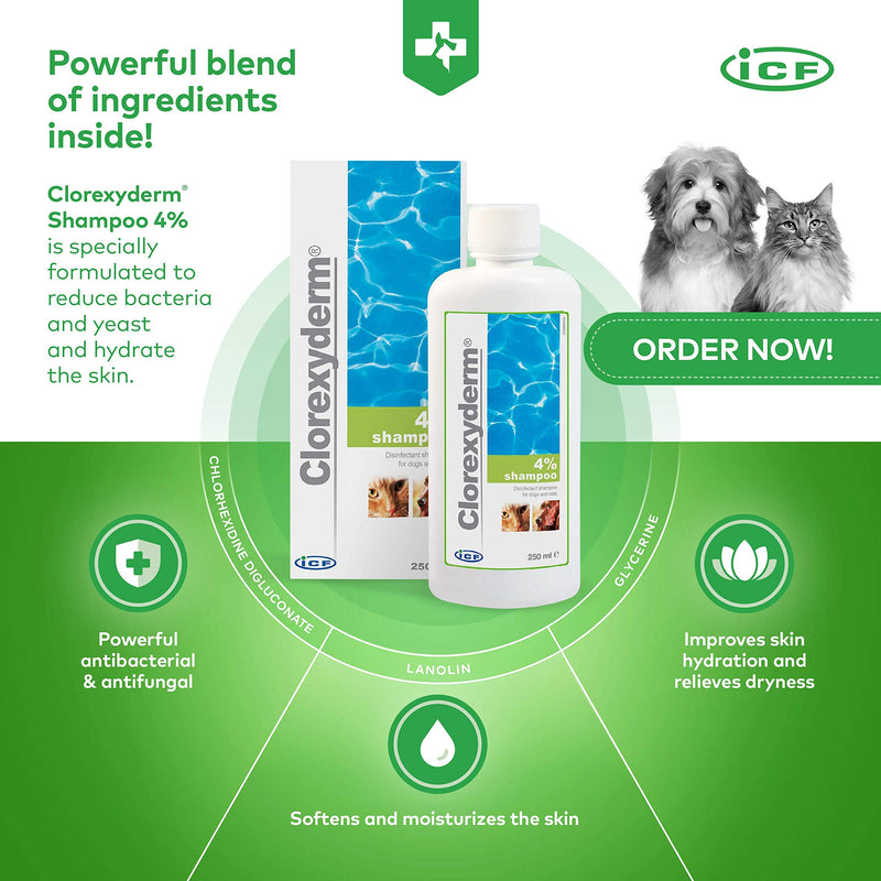 iCF Clorexyderm® Shampoo 4% for dogs and cats - 250 ml - PawsPlanet Australia