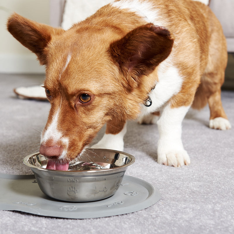 Me and My Pets Stainless Steel Food/Water Bowl - Pack of 5 - Choice of Size 12cm - PawsPlanet Australia