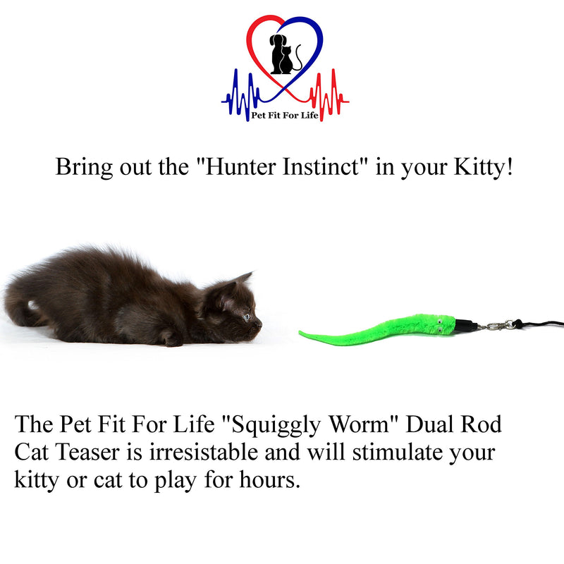 [Australia] - Pet Fit For Life 5 Piece Worms Teaser and Exerciser for Cat and Kitten - Cat Toy Interactive Cat Wand 