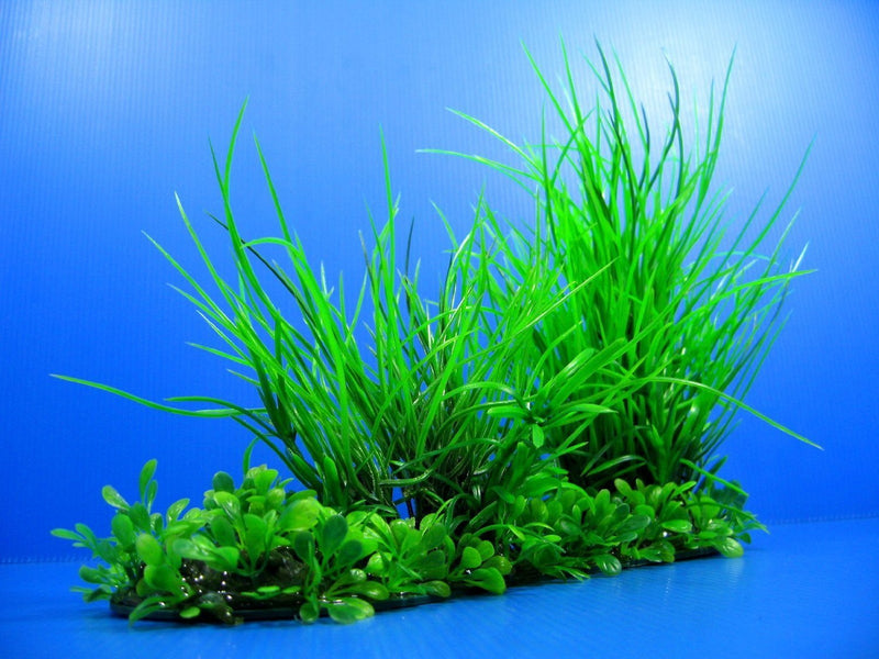 [Australia] - 3D Aquarium Plastic Plants 10" L Ornament Fish Tank Decor pet 
