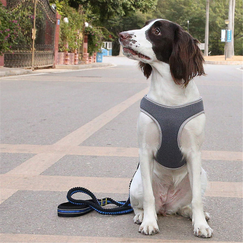 AVANER Dog Harness, Adjustable No Pull Easy On and Off Pet Vest with Nylon Handle for Small Medium Large Dogs M(Chest:18 - 20") - PawsPlanet Australia