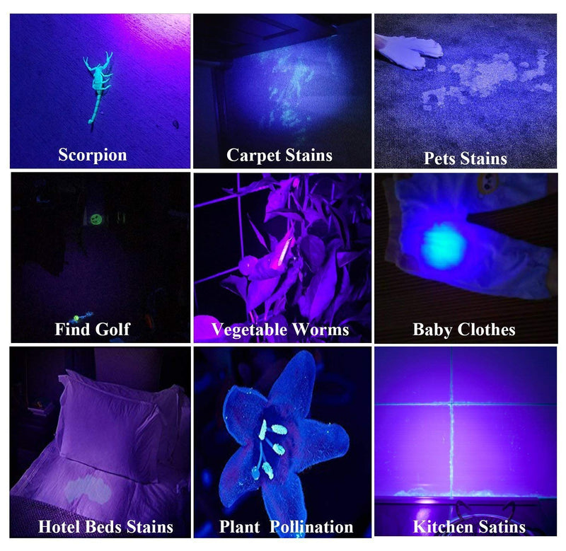 UV Flashlight Black Light, 68 LED 395 NM Ultraviolet Blacklight Pet Urine Detector For Dog/Cat Urine, Dry Stains, Matching with Pet Odor Eliminator, for Home Hotel Camping Leaks Cosmetic UV Flashlight 02 - PawsPlanet Australia