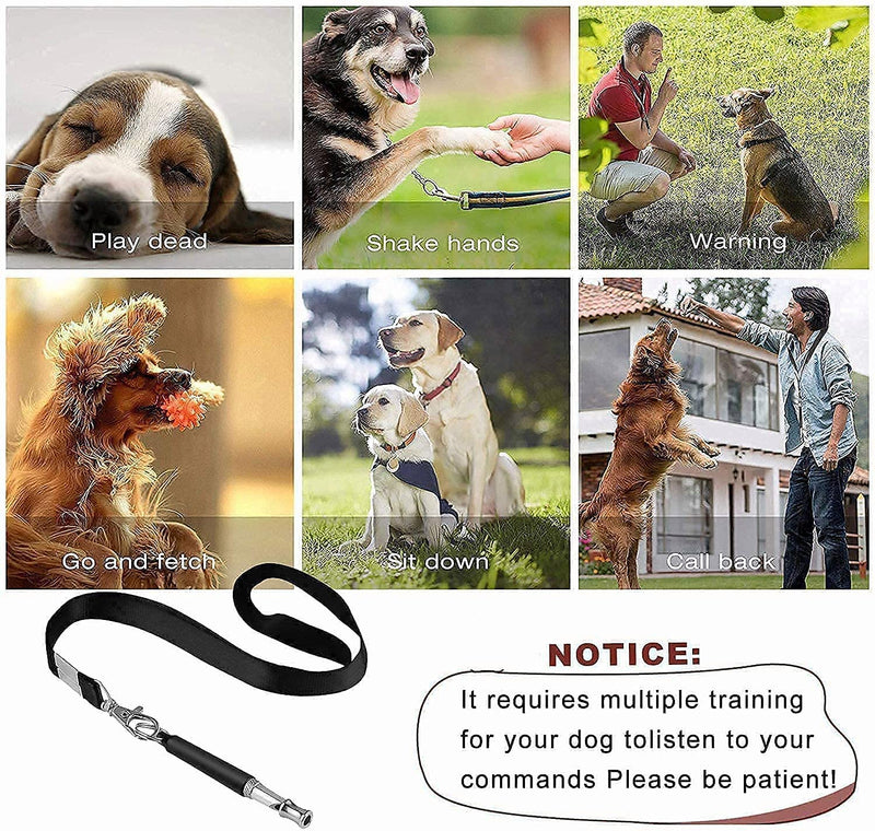 Dog Whistle, 2 Pack Ultrasonic Dog Whistle for Dog to Stop Barking,Recall Training, Whistle Dog Tracker, Adjustable Dog Whistle Silent Training Barking Control Devices for Dog,with Black Strap Lanyard - PawsPlanet Australia