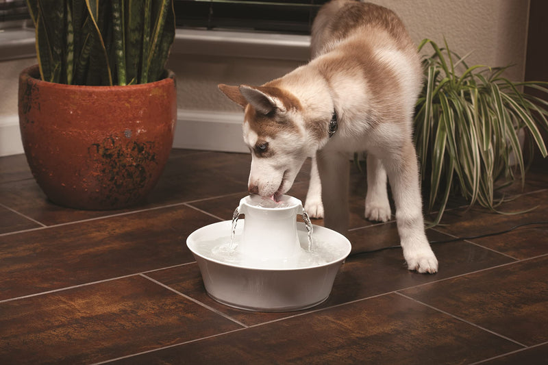 PetSafe Drinkwell Carbon Replacement Filters, Keeps Water Clean & Fresh, Compatible with Multiple PetSafe Fountains, 4 pack - PawsPlanet Australia
