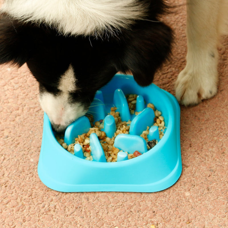 [Australia] - Baobeir Slow Feeder Bowl, Fun Feeder Interactive Bloat Stop Dog Bowl, Eco-Friendly Durable Non Toxic Bamboo Fiber Slow Feed Dog Bowl Blue 