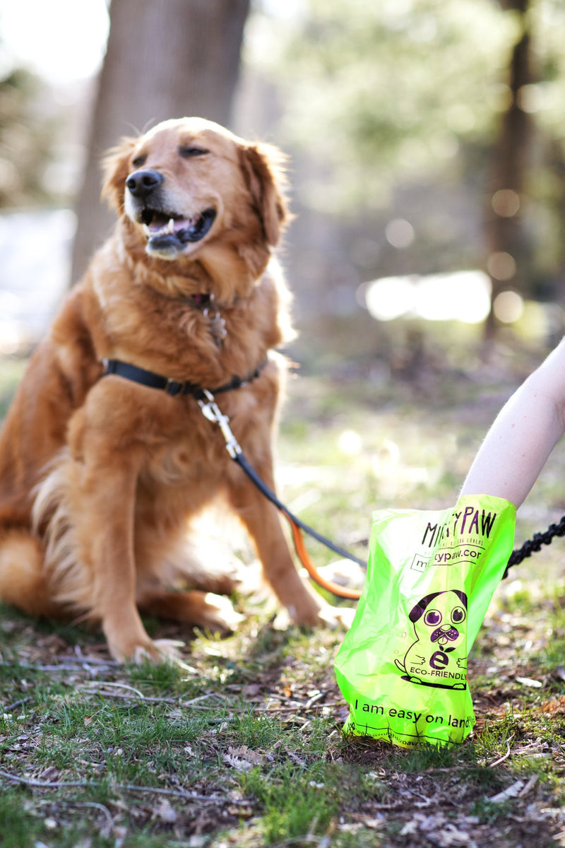 [Australia] - Mighty Paw Eco-Friendly Poop Bags, Lavender-Scented Dog Waste Pick-up Bags, Extra-Thick (0.6 mil) Doggie Bags, Large Bags 9" x 13" for Pets, Bags are Earth Friendly Biodegradable 8 Rolls Green 