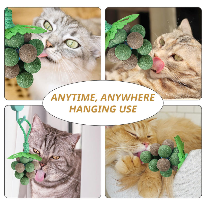 PAKESI Catnip Toys Balls,Set of 9 Catnip Balls and 4 Bug Berry Balls,Teeth Cleaning Cat Bite Toy, Cat Wall Treats, Interactive Cat Toys for Hours of Play - PawsPlanet Australia