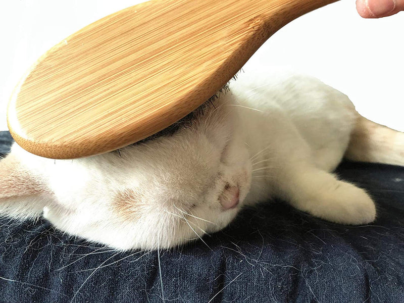 [Australia] - Patina Pet Grooming Brush,Natural Bamboo Boar Bristles Brush for Matted Short and Long Haired Dogs Cats Gentle Easy Grooming Massage 