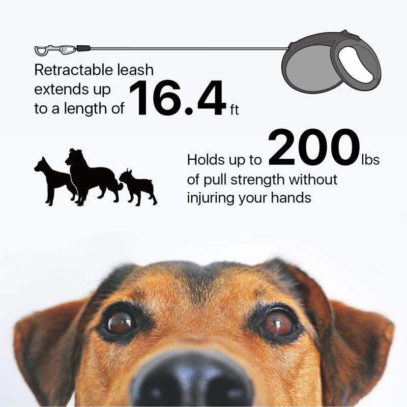 [Australia] - Flexzion Retractable Dog Leash, Long Leash Nylon Pet Walking Leash with Quick Lock and Release Button, Neon Tape, Non-Slip Grip for Small Medium Large Dogs Small to Medium Black 