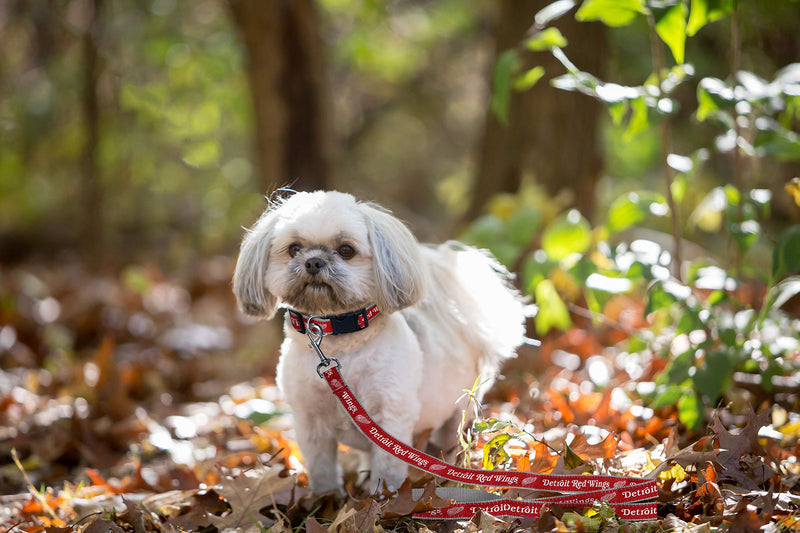 [Australia] - Pets First NHL Detroit RED Wings Leash for Dogs & Cats, Medium. - Walk Cute & Stylish! The Ultimate Hockey Fan Leash! NHL Leashes Medium (4 Ft Long x 0.62 In Width) 