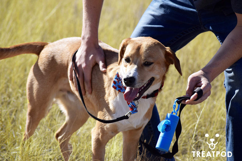 [Australia] - TreatPod Leash Treat Holder and Poop Bag Dispenser - 2 in 1 Dog Waste Bag Dispenser and Treat Container Pouch, Includes 15 Eco Friendly Extra Strength Bags Navy 