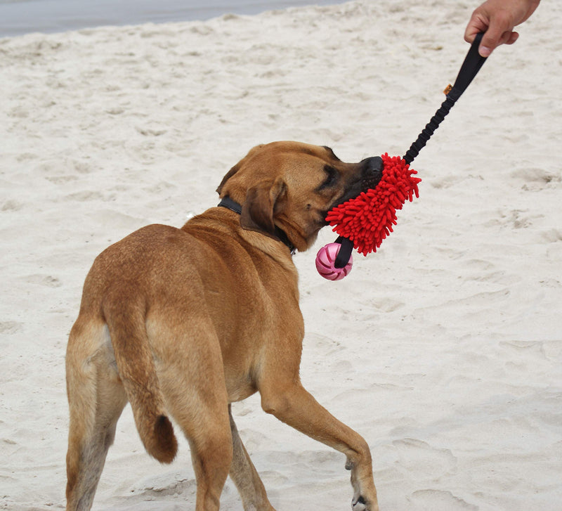 Dingo Agility Mop Bite Tug Floatable Ball Bungee Chaser Red 15588 - PawsPlanet Australia