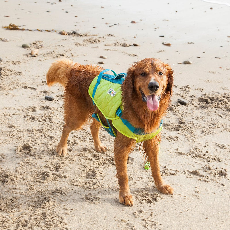 Outward Hound Standley Sport Experienced Swimmer Life Jacket for Dogs MD - PawsPlanet Australia
