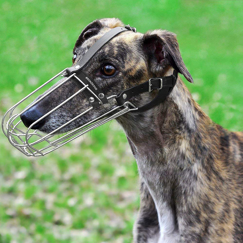 [Australia] - BRONZEDOG Greyhound Muzzle for Adult Dogs Metal Wire Basket Adjustable Leather Straps 