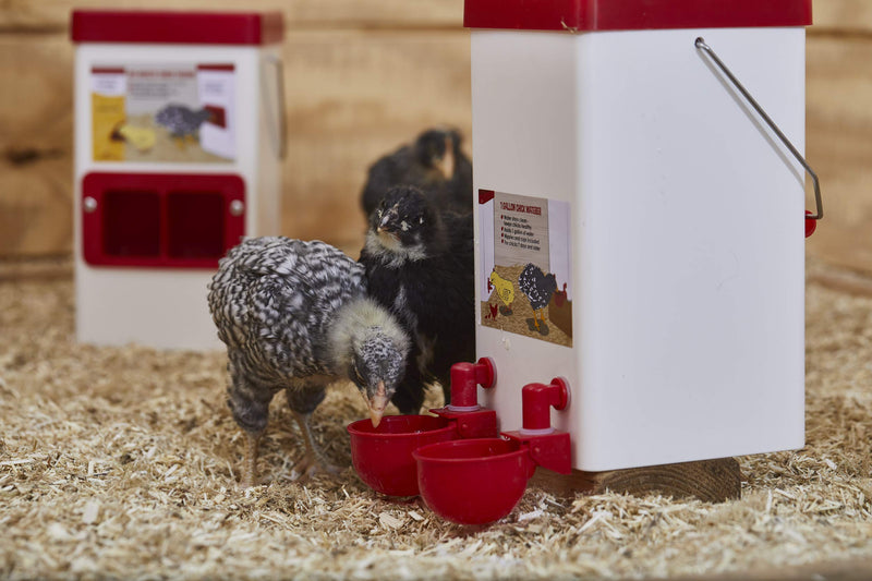Small Cage Waterer- 1 Gallon Capacity for Chicks/Quails/Pigeons/Gamebirds - PawsPlanet Australia