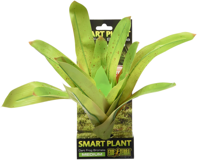 Exo Terra Dart Frog Bromelia Plant, Reptile Terrarium Decoration Medium - PawsPlanet Australia