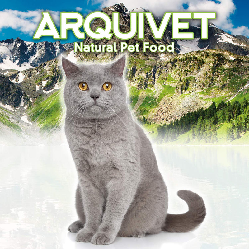 Arquivet 8435117824676 – Feeder Stainless Steel Cat Anti- Dec 0,24l - PawsPlanet Australia