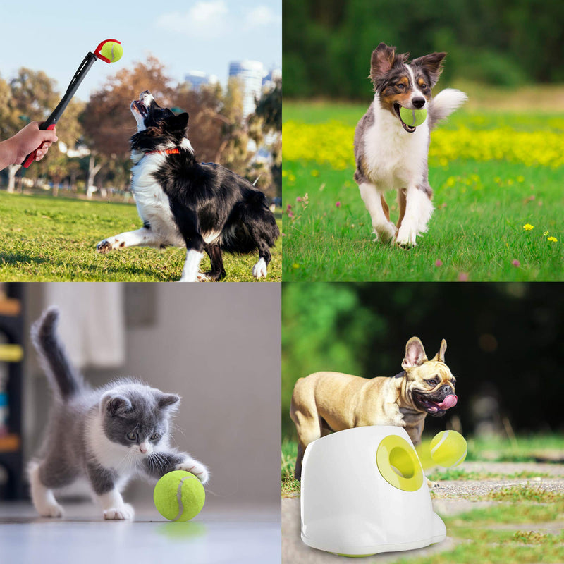PetPrime Dog Automatic Ball Launcher Dog Interactive Toy Dog Fetch Toy Pet Ball Thrower Throwing Game 3 Tennis Balls Tennis Ball Launcher for Dogs Included Launch Distance 10ft 20ft 30ft - Mini Style - PawsPlanet Australia