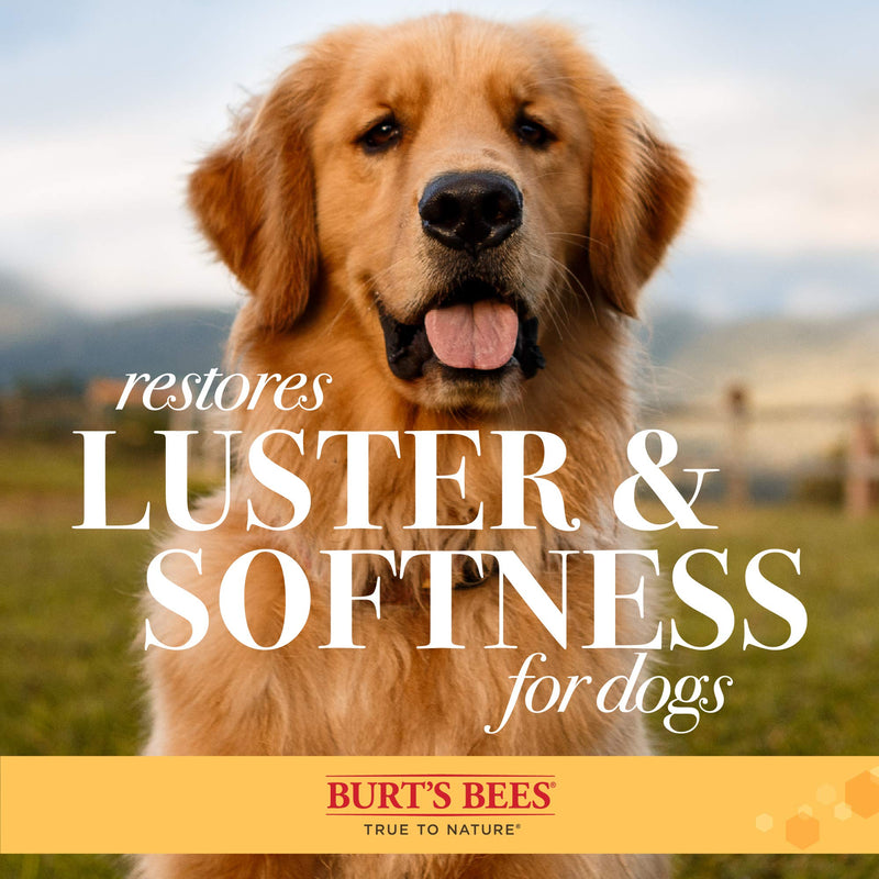 Burt's Bees for Dogs Bamboo Dog Brush - Dog Brush Made from Bamboo & Recycled Material - Eliminates Knots, Tangles, and Mats in Dog Fur Small Double Sided Pin & Bristle Brush - PawsPlanet Australia