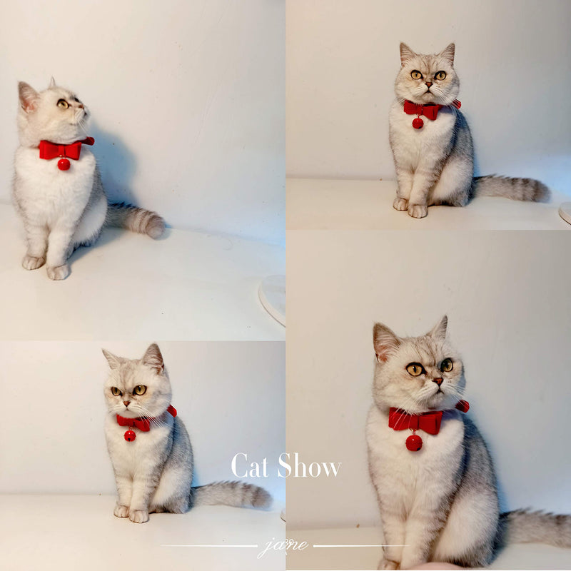 [Australia] - PU Leather Bow Cat Collar Breakaway with Bell Cat Kitty Adjustable Safety Pet Cat Collars XS Red 