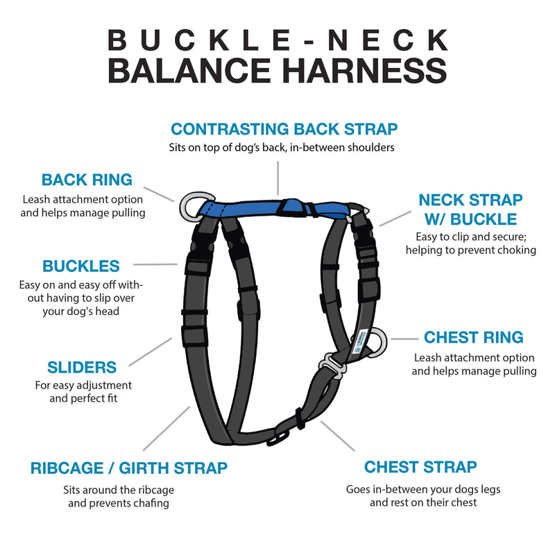 Blue-9 Buckle-Neck Balance Harness, Fully Customizable Fit No-Pull Harness, Ideal for Dog Training and Obedience, Made in The USA, Black, X-Small - PawsPlanet Australia