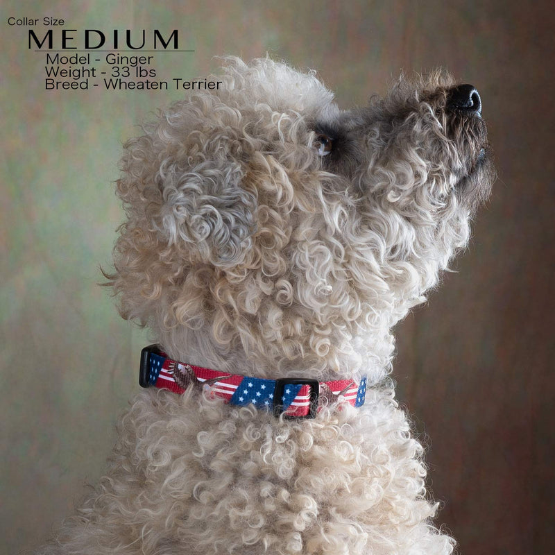 American Flag Dog Collar in 5 Different Sizes Bald Eagle Small - PawsPlanet Australia