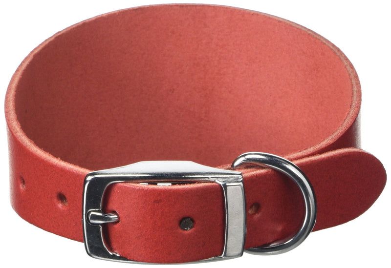 BBD Pet Products Budget Whippet Collar, One Size, 3/4 x 10 to 12-Inch, Red - PawsPlanet Australia