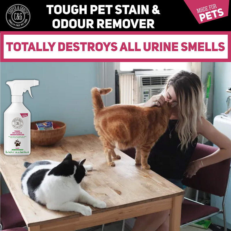 C&G Pets |Tough Pet Stain Urine and Odour Remover 500 ML | Cat and Dog Formula | High Count Bacteria Natural Enzymes Cleaner | Anti-Bacterial Anti-Fungal Prevents Marks Destroys Organic Stains 500 ml (Pack of 1) - PawsPlanet Australia