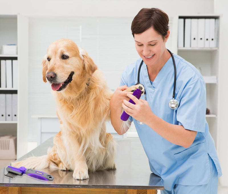 Hertzko Electric Dog Nail Grinder Painless Nail Tool for Puppies, Small Medium & Large Dogs & Cats - Cordless, Portable Dog Nail Trimmer, Clipper - Recharges with Included Micro USB Wire Purple - PawsPlanet Australia
