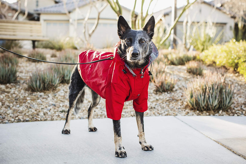 Ellie Dog Wear Red Zip Up Dog Raincoat with Reflective Buttons, Pockets, Water Resistant, Adjustable Drawstring, Removable Hoodie - Size XS to XXL Available - Stylish Premium Dog Raincoats S - PawsPlanet Australia