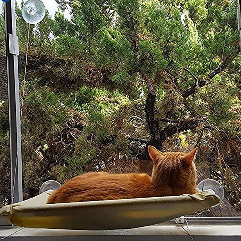Cuby Cat Window Perch for 360°Sunbath, Safety Cat Hammock Window Seat, Sturdy Durable Heavy Duty Suction Cups Cat Bed Holds up to 30lbs, Easy to Assemble, Space Saving Cat Hammock Window Mounted - PawsPlanet Australia