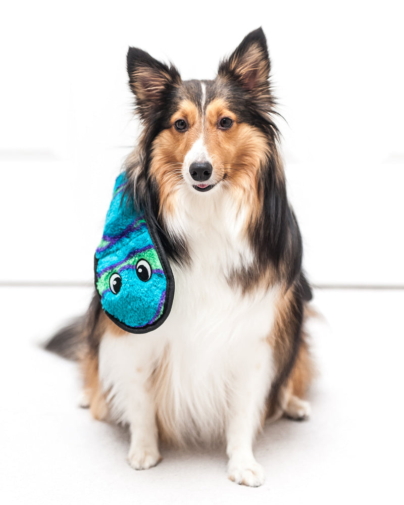 [Australia] - Outward Hound Invincibles Snake XL Blue 