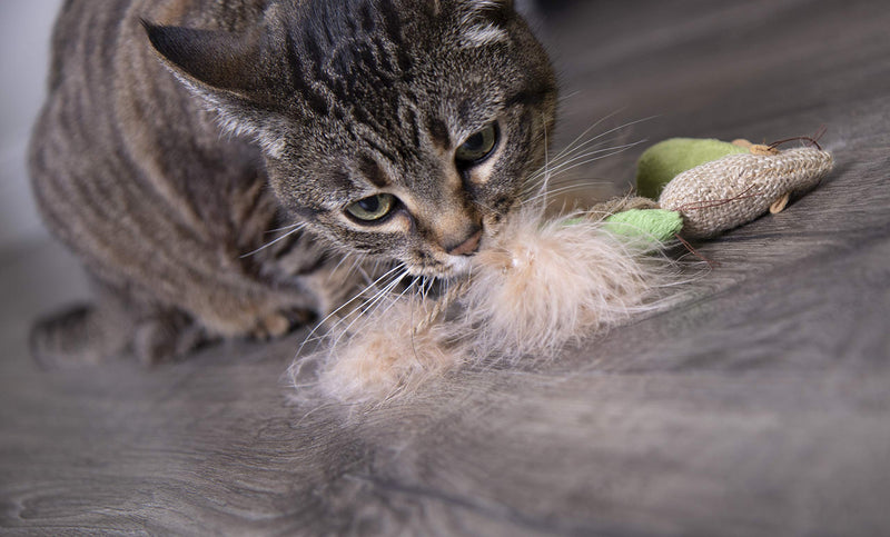 [Australia] - Petlinks Cat Toys with Feathers 