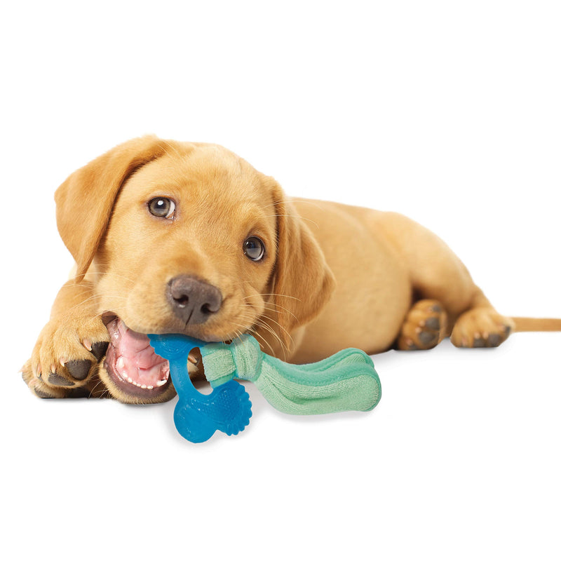 Nylabone Puppy Teething Chew Toy Freezer Bone with Soothing Cloth, Peanut Butter Flavour, S, for Puppies Up to 11 kg - PawsPlanet Australia