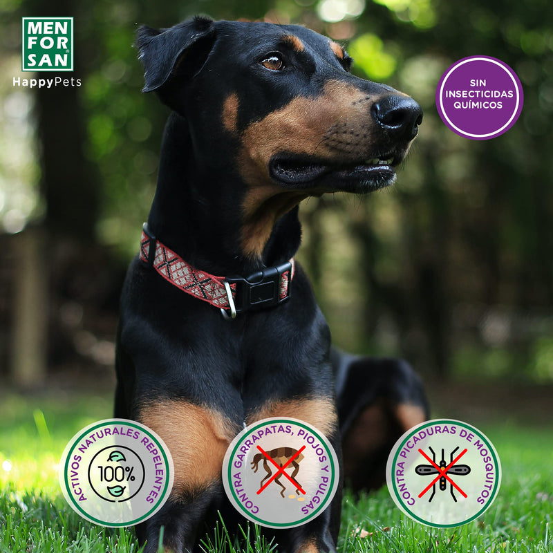 Menforsan - Pipette dogs with loamy, geraniol and lavandino - PawsPlanet Australia