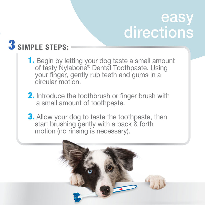 Nylabone Advanced Oral Care Dental Kits for Dogs & Cats Adult Dog Original 2 Count - PawsPlanet Australia