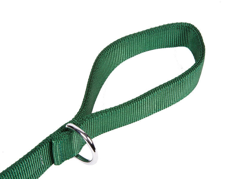 [Australia] - GoGo Pet Products 1-Inch Wide Comfy Nylon Dog Leash, 6-Feet Long, Hunter Green 
