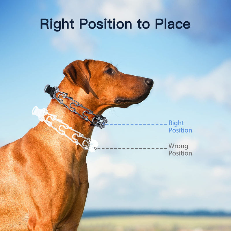 PATPET Dog Prong Collar - Choke Pinch Training Collar, No Pull Quick Release Locking Carabiner, Adjustable Stainless Steel Links with Rubber Tips for Small Medium Large Dogs M, 3.0mm, 18-Inch - PawsPlanet Australia