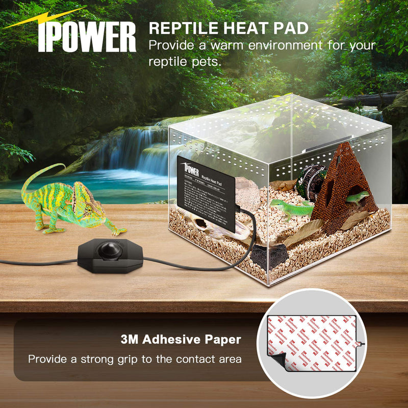 iPower Reptile Heating Mat with Temperature Adjustable Controller Under Tank Warmer Terrarium Heat Pad for Reptiles and Amphibians 4 X 7 Inch - PawsPlanet Australia