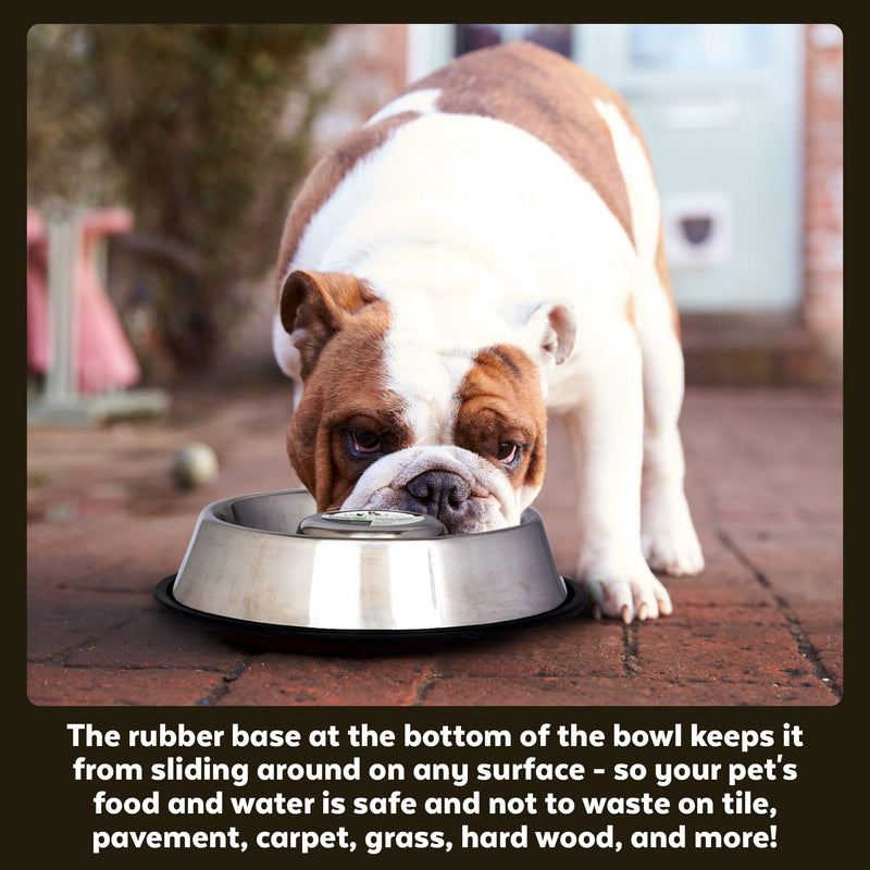 [Australia] - Iconic Pet Slow Feeding Stainless Steel Bowl with Anti-Skid Rubber Ring in Varying Sizes, Noise Free Stable Pet Feeding Bowl for Dogs/Cats Reduces Chocking and Over Eating Habit for Better Digestion Medium 