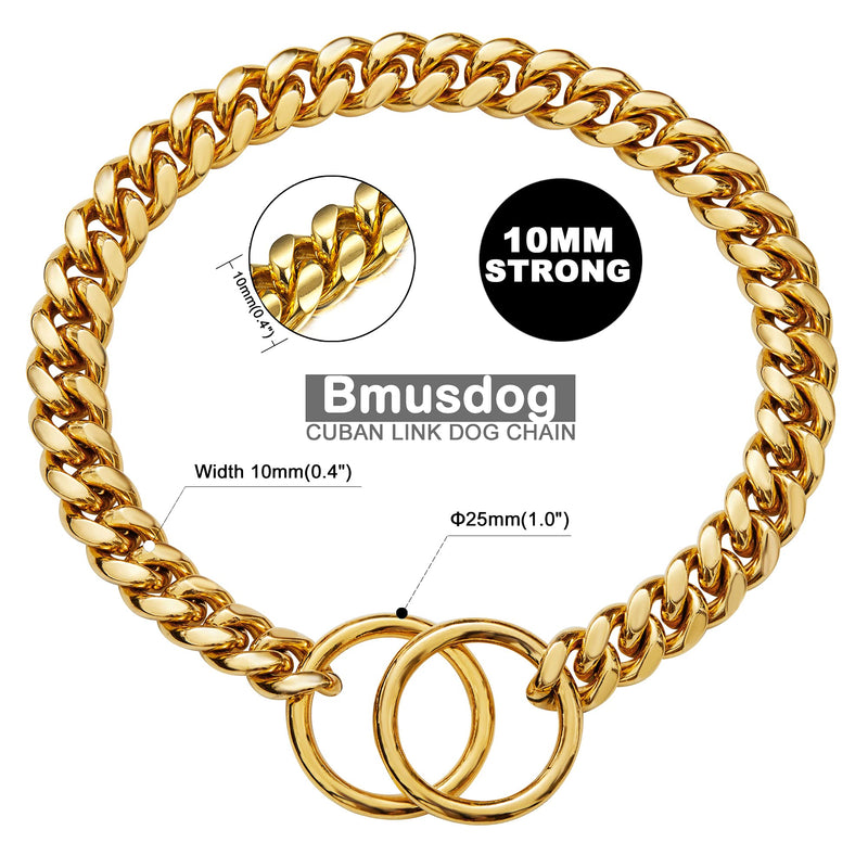 BMusdog Gold Dog Chain Collar 10MM Chain Collar Stainless Steel Metal Collars Silp Chain Collar for Small Medium Large Dogs (10 to 24in) No Customized Tag 10" (Neck Fits 6"-8") - PawsPlanet Australia
