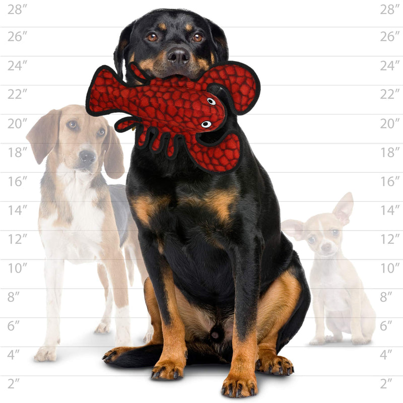 [Australia] - TUFFY - World's Tuffest Soft Dog Toy - Ocean Larry Lobster -Squeakers - Multiple Layers. Made Durable, Strong & Tough. Interactive Play (Tug, Toss & Fetch). Machine Washable & Floats. Regular 